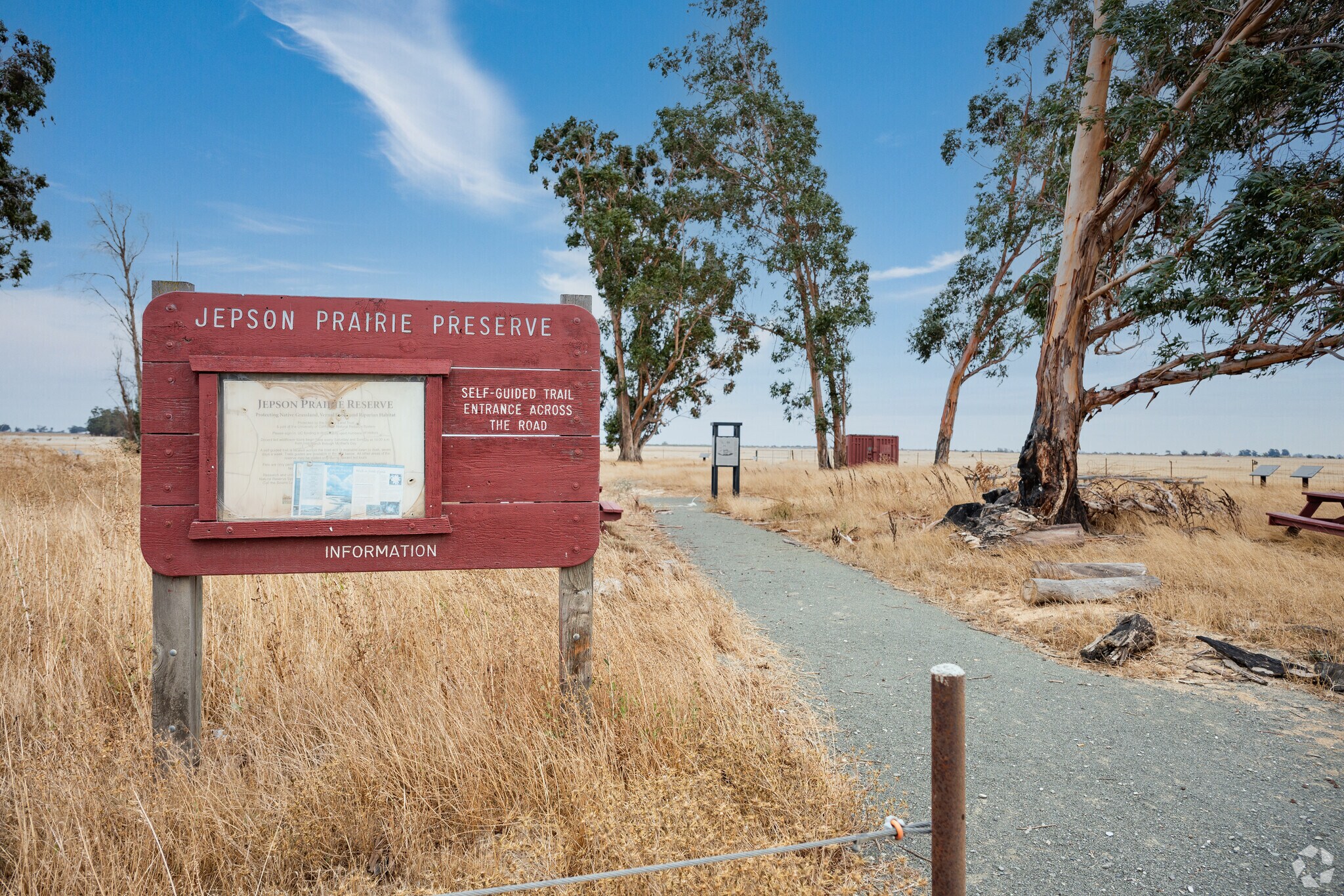 Jepson Prairie Preserve in Dixon is a serene park for unplugging.