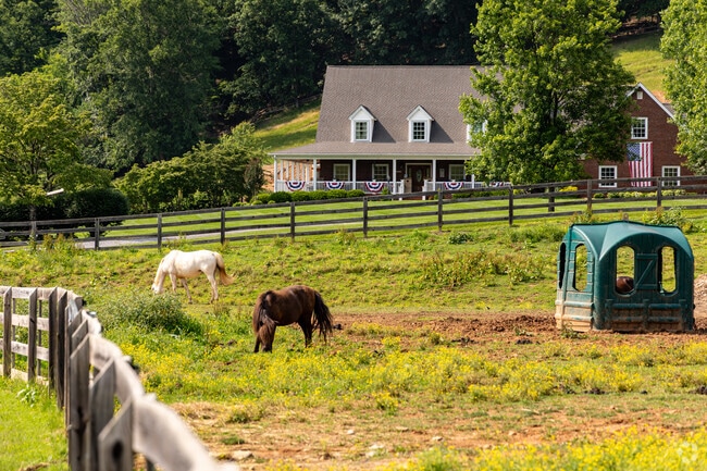 You can find pastures of horses dotting the landscape around Morrison City.