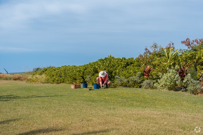 Waianae harbors a rich history, evident in its ancient Hawaiian sites and petroglyphs.