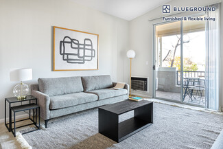 20647 Forge Way Unit FL2-ID459, Cupertino, CA 95014