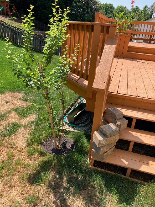 3203 Trellis Ln, Abingdon, MD 21009 - photo 6