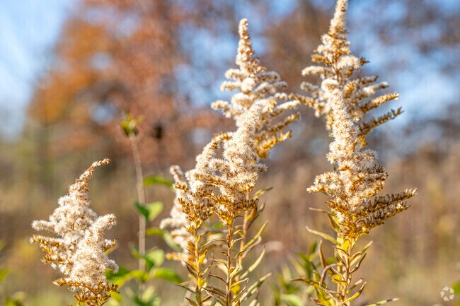 Stop and see the beauty along the winding country roads in Henpeck.