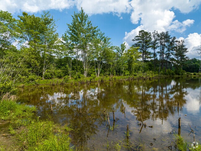 Enjoy a walk along Lake at Mundy's Mill while walking your pet.