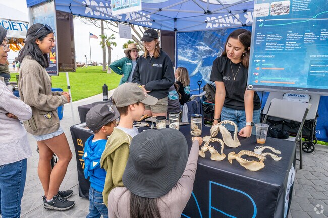 KelpFest, held in Laguna Beach, features informational booths about the ocean's wildlife.