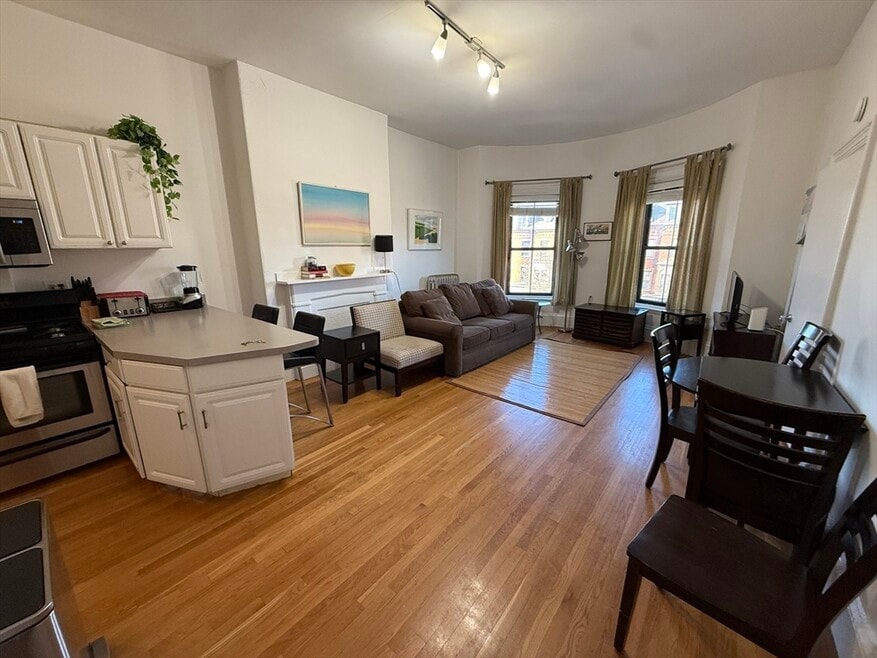 668 Tremont St unit 7, Boston, MA 02118 - photo 1