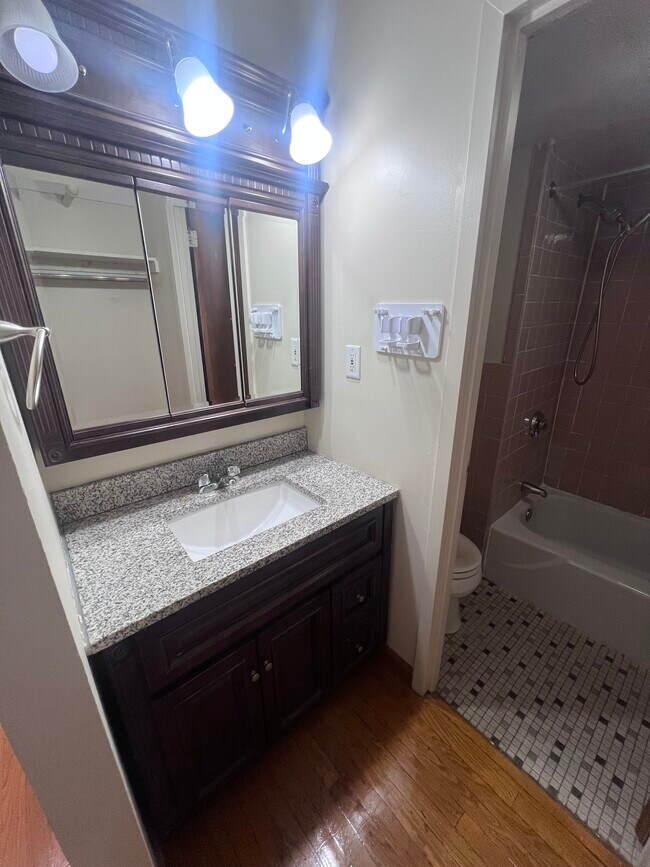 217 Fuller St unit 3, Brookline, MA 02446 - photo 6