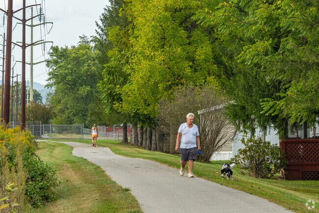 Take your four legged friend for a nice walk along the Lycoming Creek Bikeway.