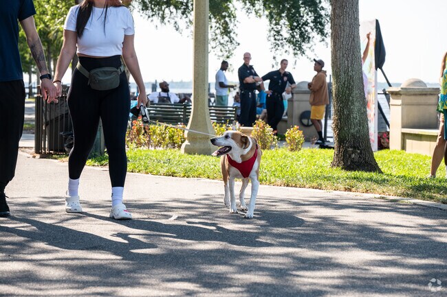 Sanford locals bring their pets to enjoy the sights and smells of Rhythm & Brews BBQ Fest.
