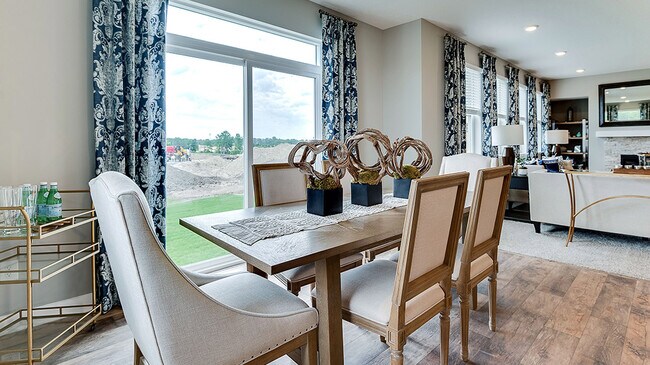 1786 Marsh View Terrace, Shakopee, MN 55379 - photo 5