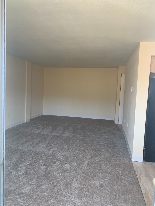 921 Green Star Dr unit 101, Colorado Springs, CO 80905 - photo 7