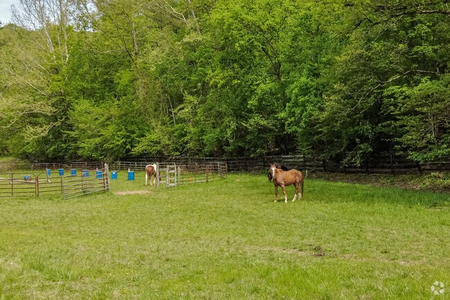 Twin Valley Ranch offers horseback riding, fishing, swimming, and cookouts in Walland.