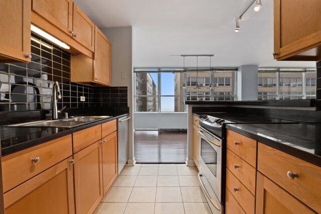 Park Place Tower unit 4811, Chicago, IL 60613 - photo 5