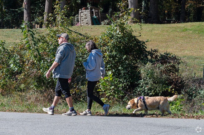 Neighborhoods in Town and Country Estates are great for taking your fur baby for a walk.