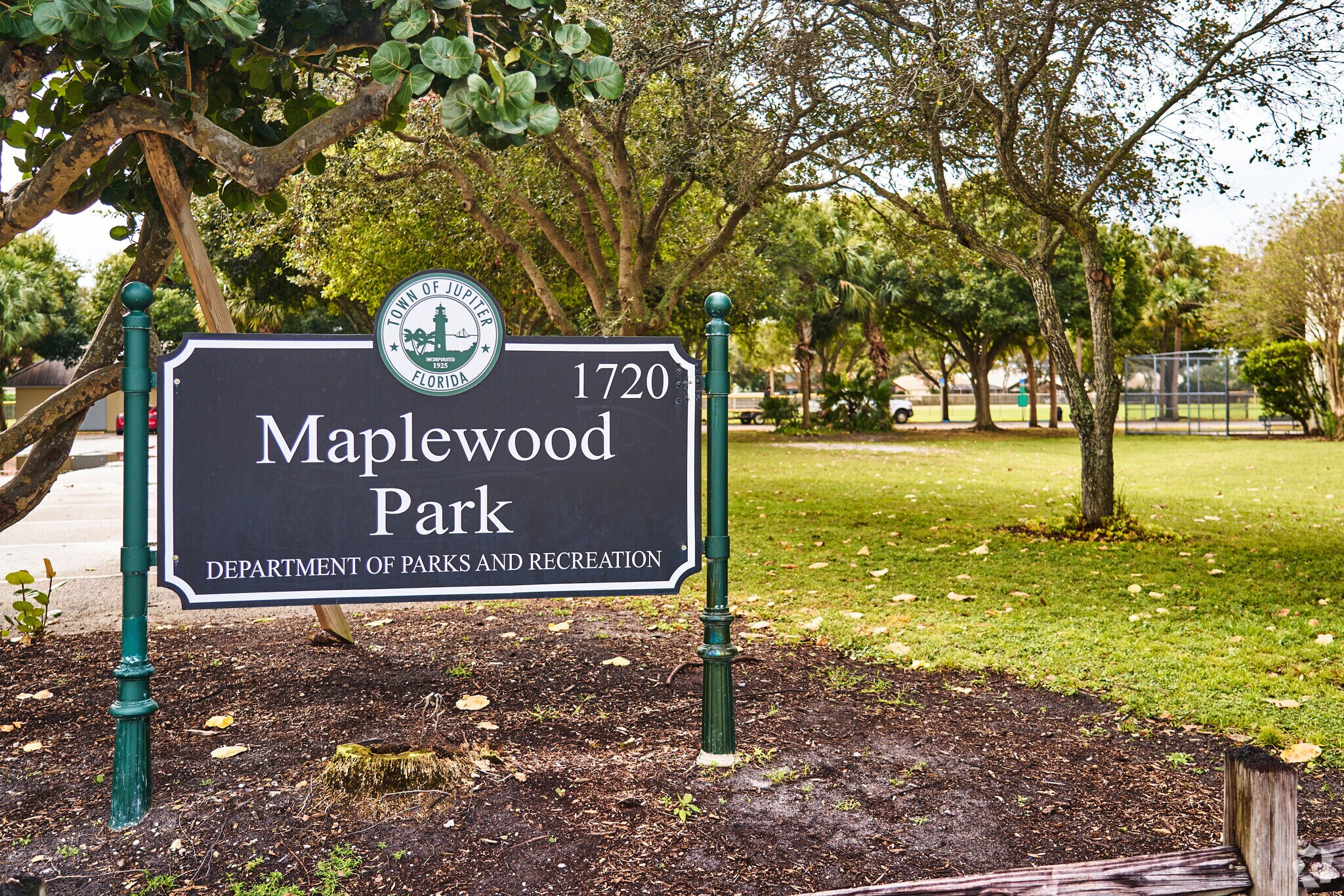 About Maplewood Schools, Demographics, Things to Do