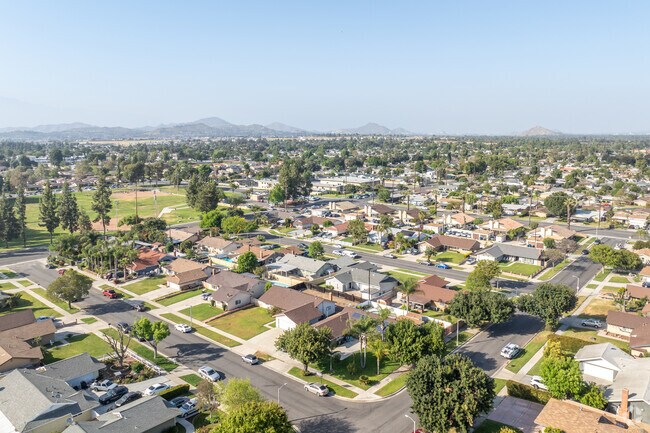 Arlington's elevated view showcases its suburban character with abundant greenery.
