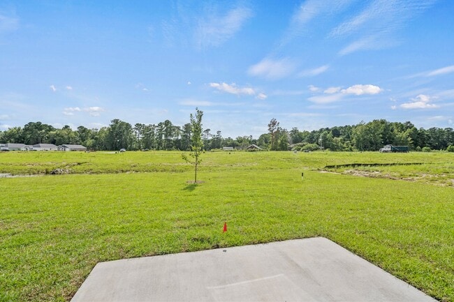 997 Cherrystone Loop, Conway, SC 29526 - photo 4