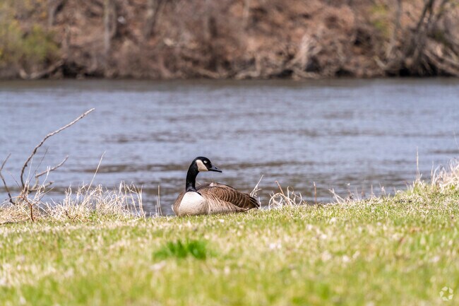 McCreary's Point in the South Shore-Bridge Street neighborhood is home to all.