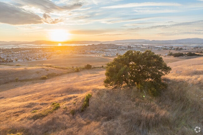 The view of American Canyon from the Newell Open Space is quite incredible.