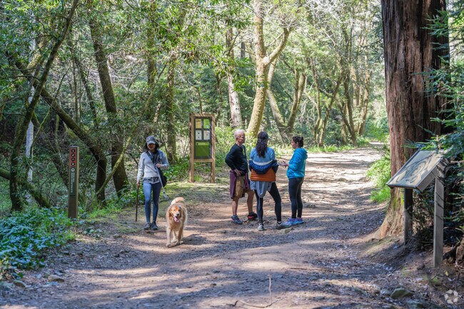 A group of hikers enjoys the lush foliage and mountain terrain at Blithedale Park.