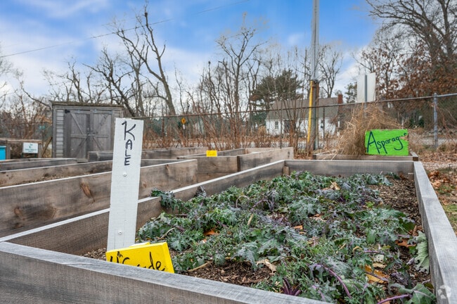 Students learn to garden at Wampatuck Elementary School in Scituate.