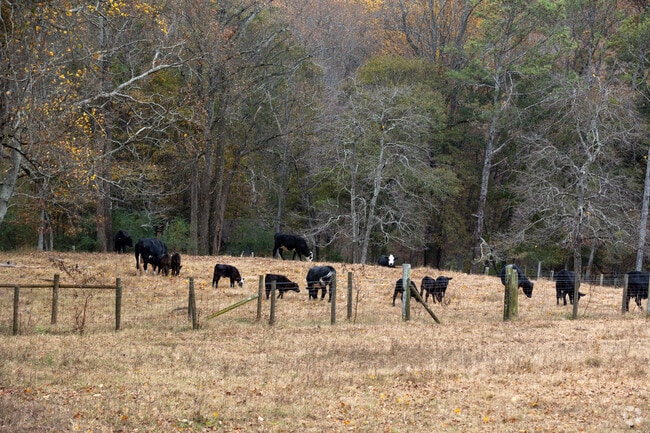 Union Hill has cattle ranches and farms.