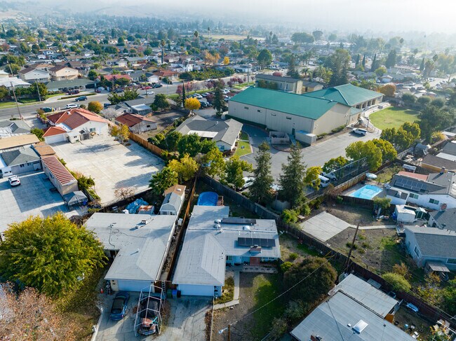 Learning blossoms at St Thomas More School.