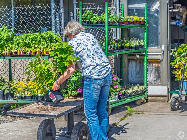 GE & B Nursery provides top quality plant material. Nursery provides landscape consultation and design in Krain-Wabash.