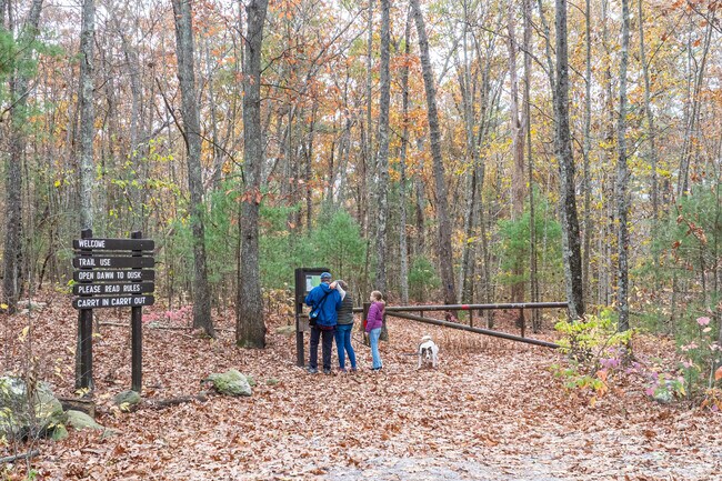 Enjoy a bit of fresh air on the trails with the family at Rehoboth State Forest in Westville.