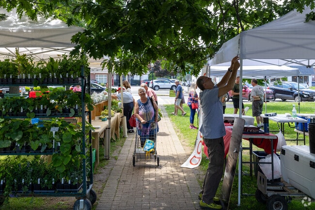 You can pick up veggie starts at the Brunswick Farmers Market.