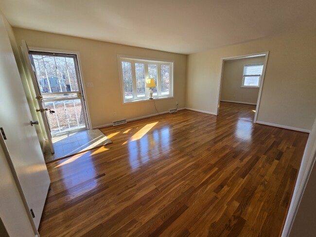 20716 Vernetta Ln, South Chesterfield, VA 23803 - photo 3