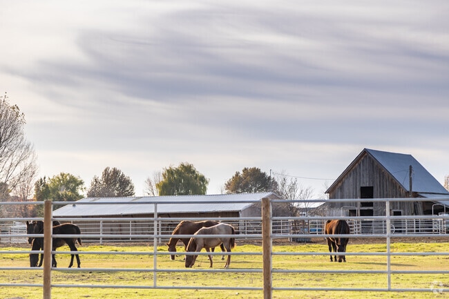 The Kuna lifestyle wouldn't be complete without ranches and plenty of horses.