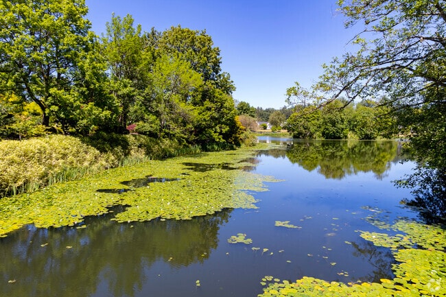 Calm waters reflect trees in Lake Sacajawea Park.
