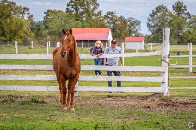 Come see the horses at George Ranch Historical Park's Frontier Days in Richmond, TX.