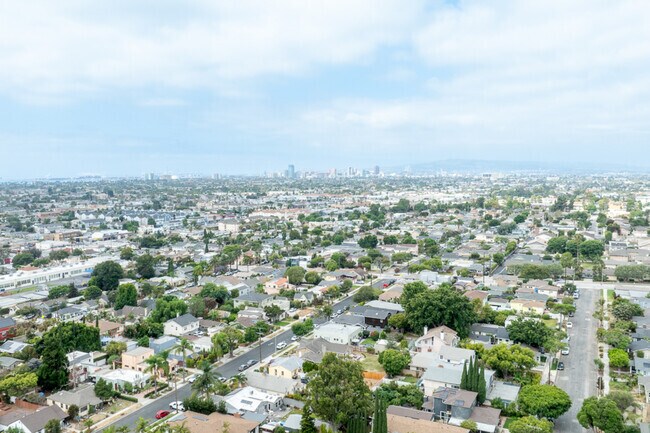 Bird-eye view of the beautiful Zaferia neighborhood in Long Beach, California.