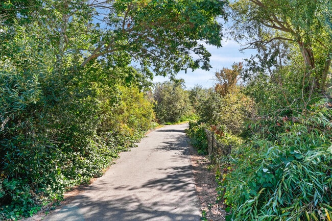 The walking trail at Pinole Shores Park in Gateley.