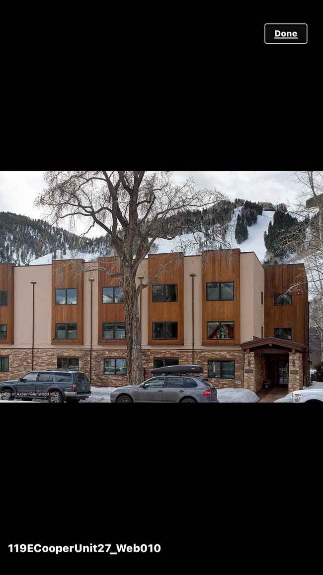 119 E Cooper Ave unit 4, Aspen, CO 81611 - photo 3