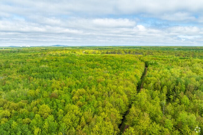 Kronenwetter Forest Unit has miles of trails for hiking and biking.