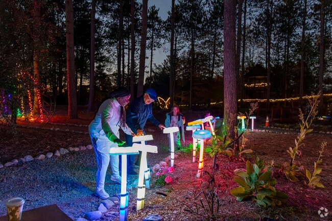 Blossom of Lights features interactive installations for Wausau residents.