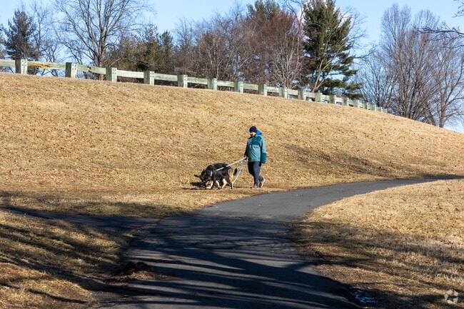 Take a walk with your dog at Core Creek Park.