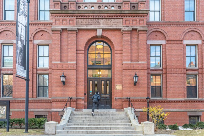 Peabody Museum of Archaeology is a museum with ancient cultural artifacts in Baldwin.