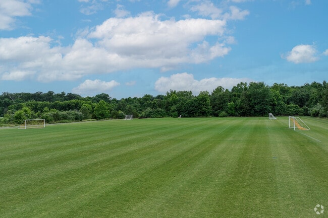 Play a game of soccer at Bles Park with their multiple fields in Ashburn.
