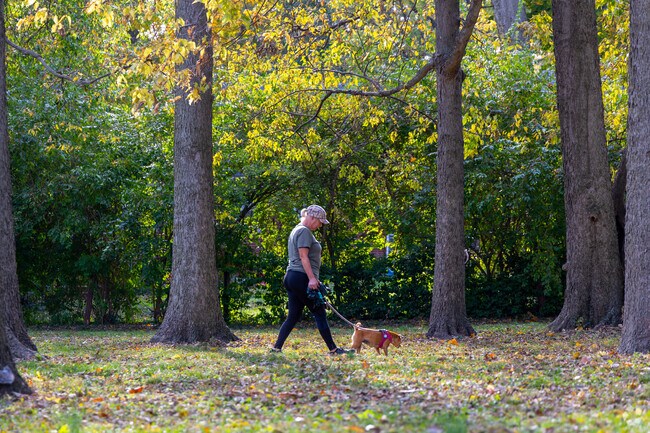 With over 32 acres, Castlewood Park is a popular destination for local residents.