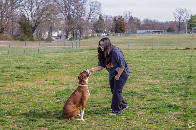 Manassas Dog Park is the go to spot while living in Yorkshire neighborhood.