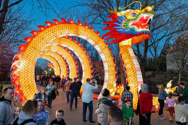 Animals Aglow nights at Saint Louis Zoo in Forest Park has dazzling lights & glowing creatures.
