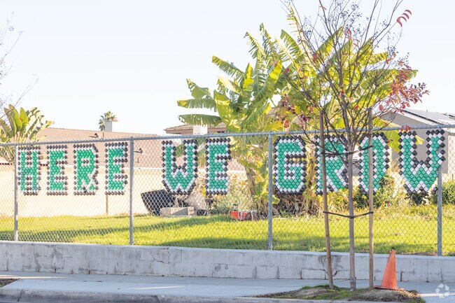 Here we grow at Morris Elementary of Cypress.