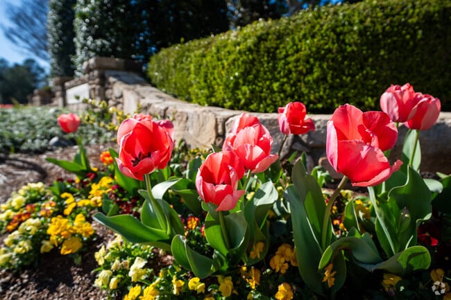 Spring is a beautiful time in the Meadowmont neighborhood.