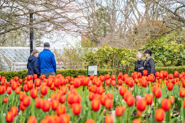 Bush’s Pasture Park Rose Garden pops with color as spring arrives in South Central.