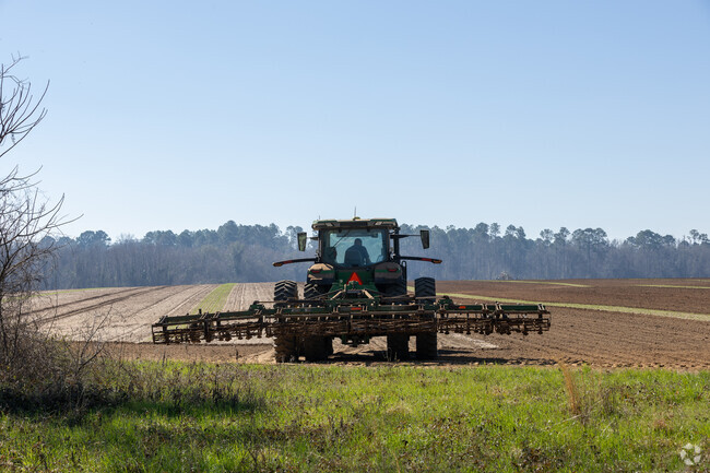 Just outside Americus, GA, a farmer rides his trusty John Deere tractor, planning his tilling for the season.
