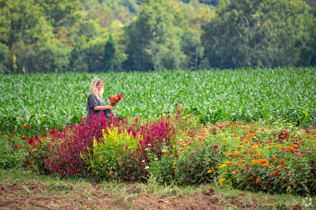 Locals can pick their own wildflowers at Davenport Farms just west of Hurley.