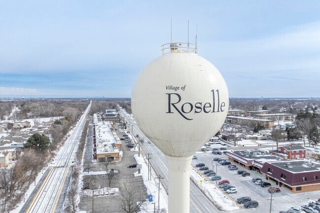 The quaint town of Roselle has something to offer for everyone.